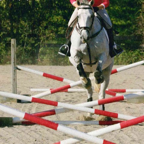 Jumping 1
