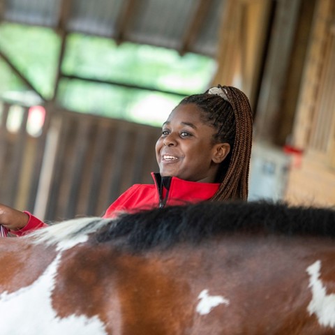 Horse Care