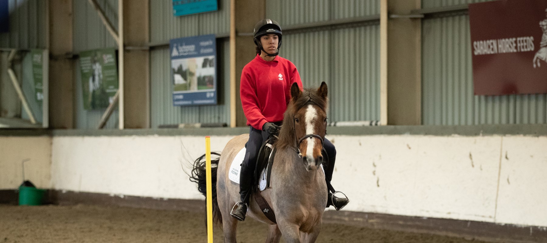 Image 3 Mounted Games Header