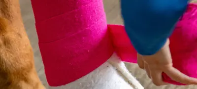 Bandaging Leg