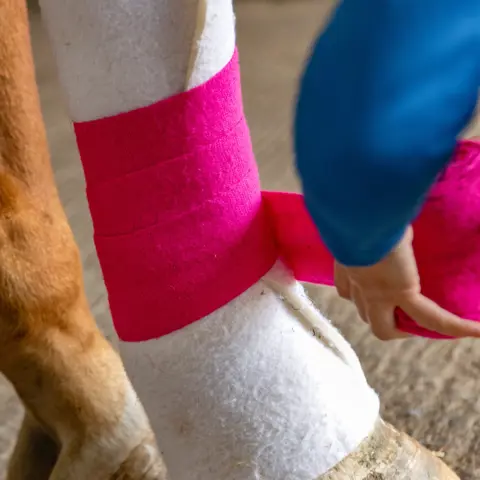 Bandaging Leg