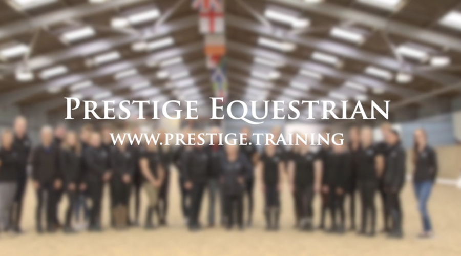 prestige equestrian