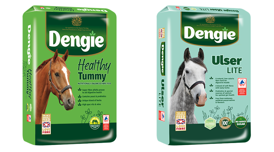 Images of the packaging for Dengie Healthy Tummy and Dengie Ulser Lite