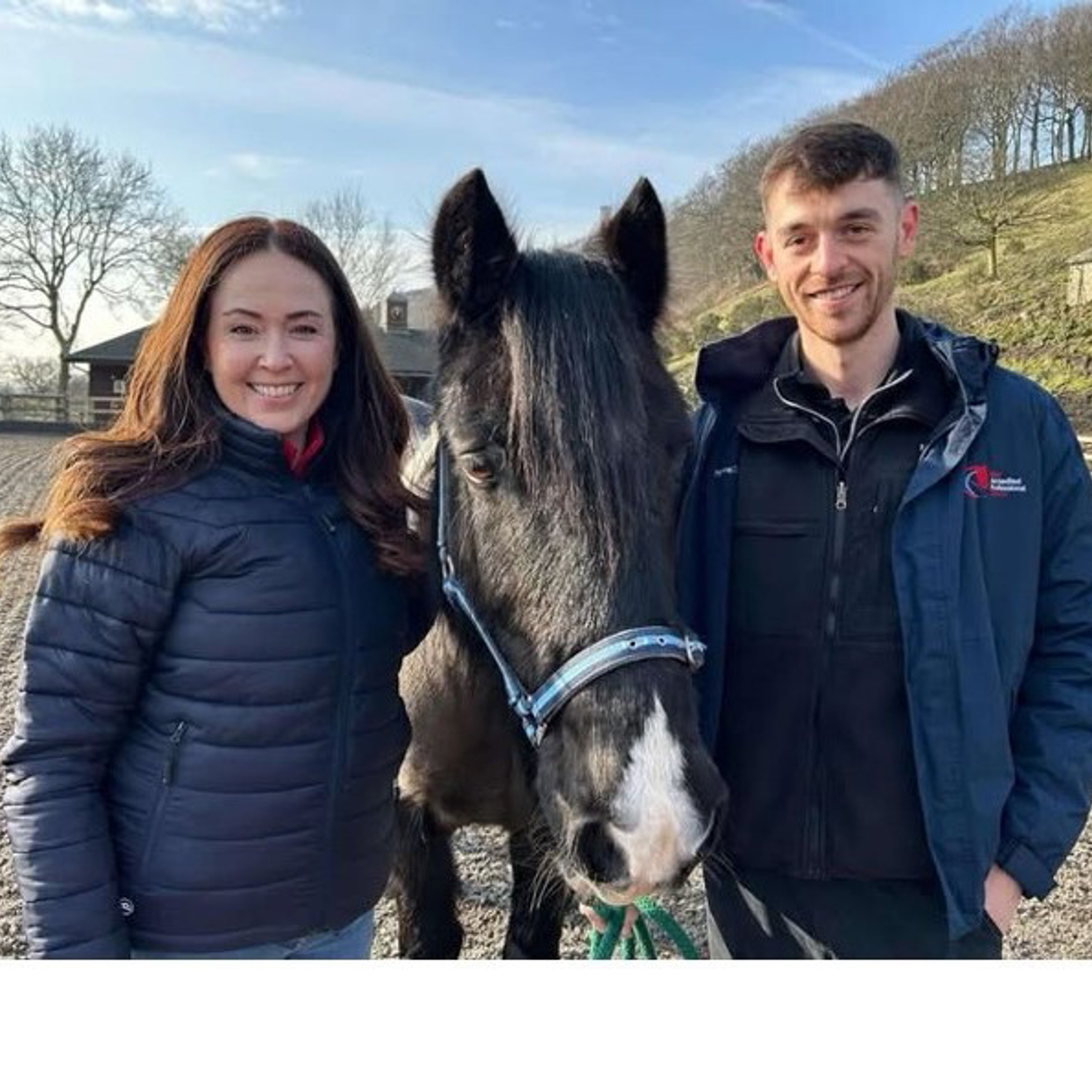 Second Chance rehoming horses | The British Horse Society