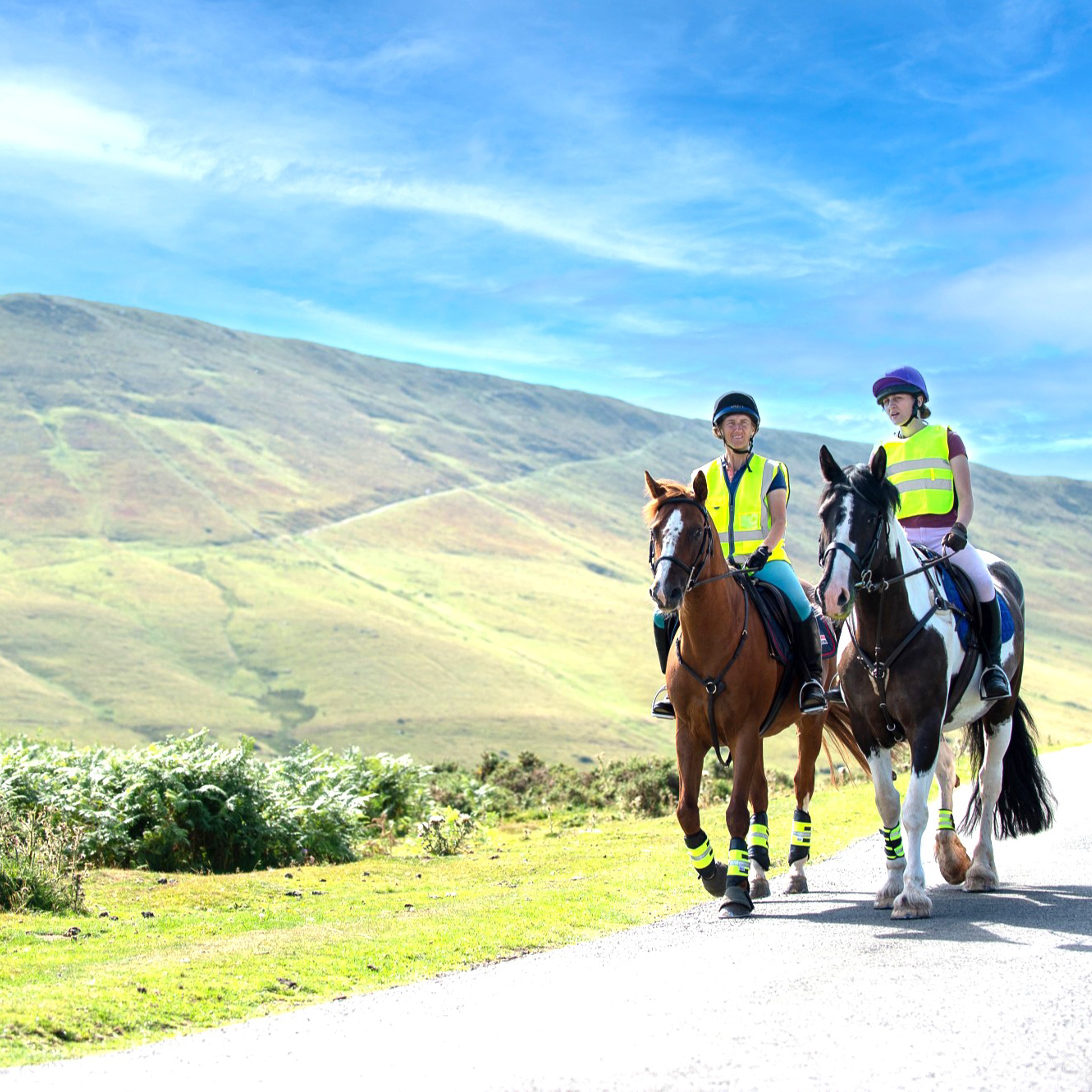 Tell us about your gift in Will intentions | British Horse Society ...