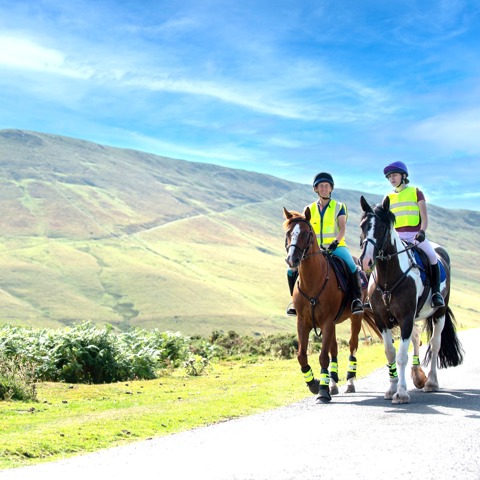Riders on horses hi-vis