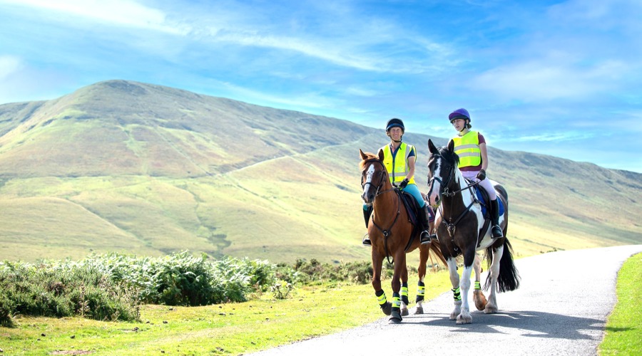 Riders on horses hi-vis