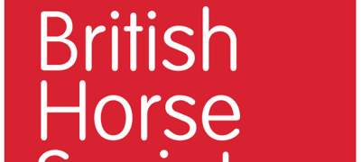 British Horse Society alt text