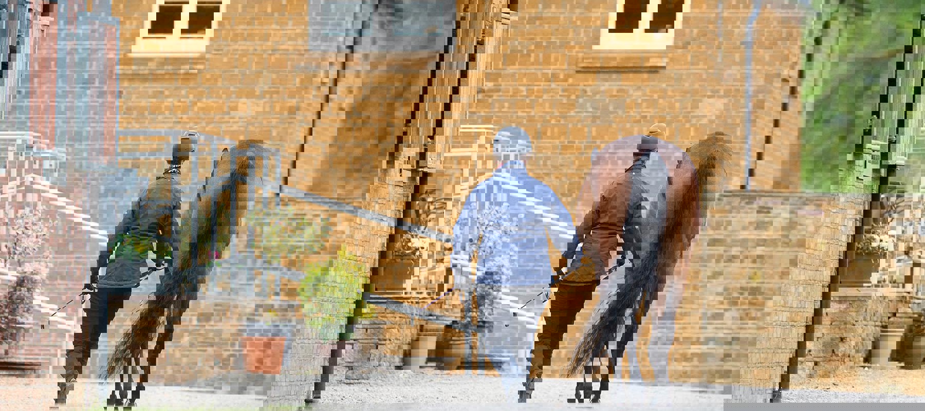 BHS EDUCATION PATHWAY BRAMPTON 9907