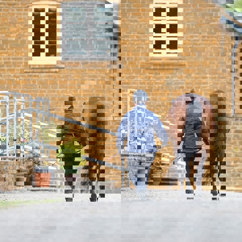 BHS EDUCATION PATHWAY BRAMPTON 9907