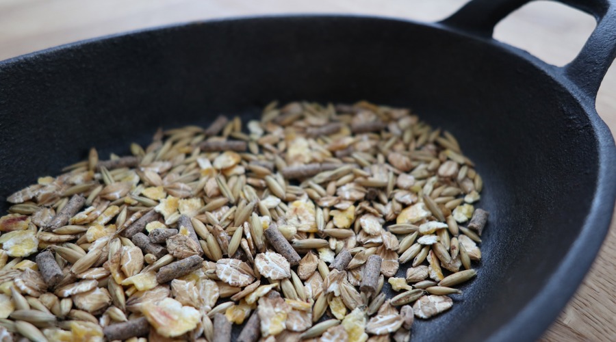 Horse Concentrate Free Image No Credit Needed 2 (2)