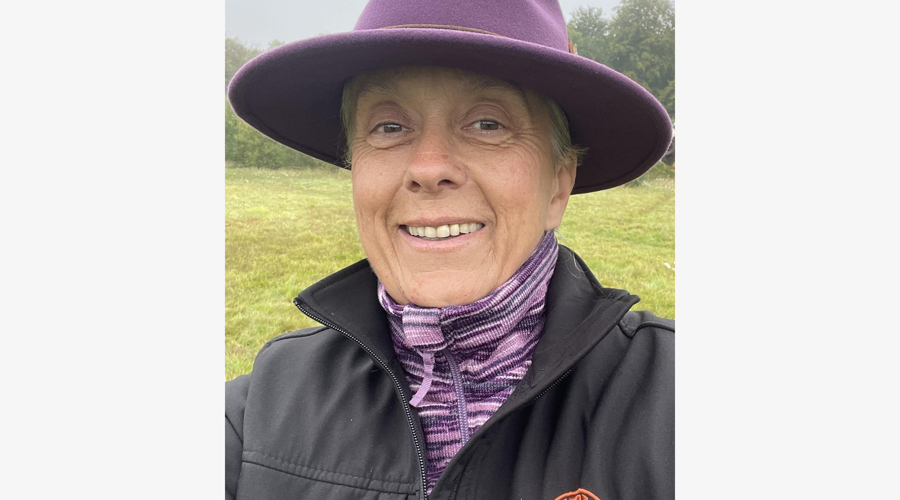 Coaching3 Border Grey