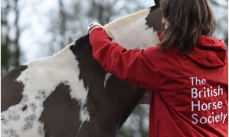 Acrecliffe Equestrian Centre | BHS Approved Centre | The British Horse ...