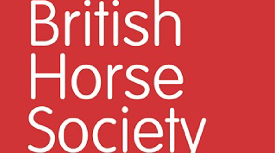 BHS Logo Small