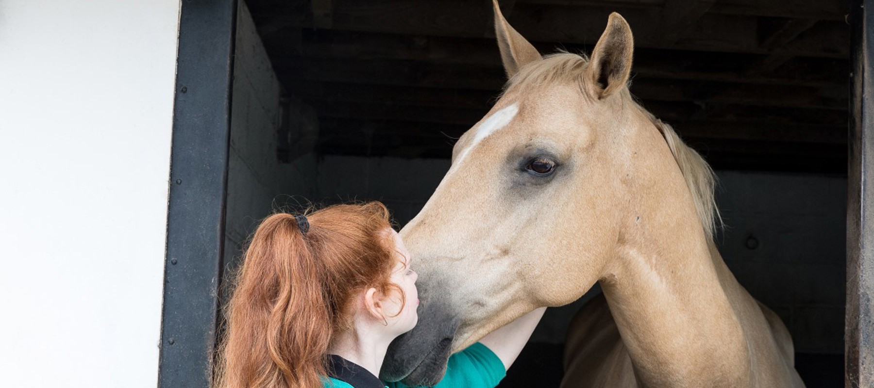woman and horse head over stable