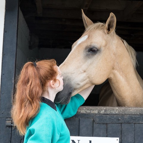 woman and horse head over stable