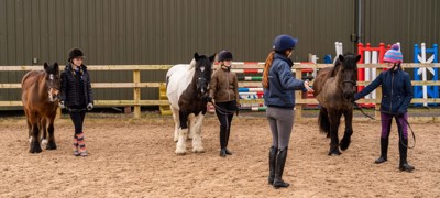 riding lesson children and ponies