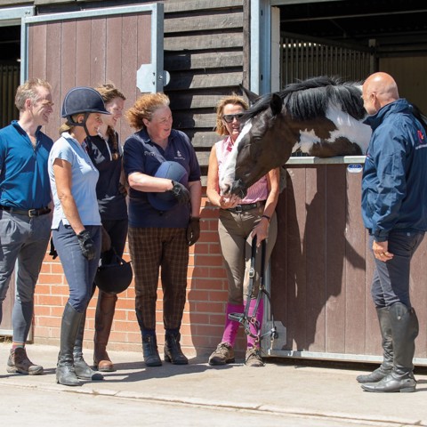 people and a horse in stables