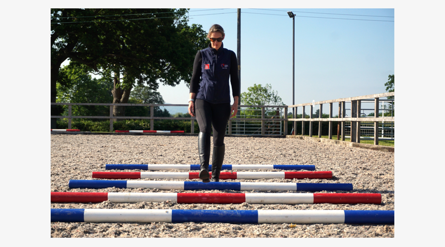 Dsc07387 BORDER GREY