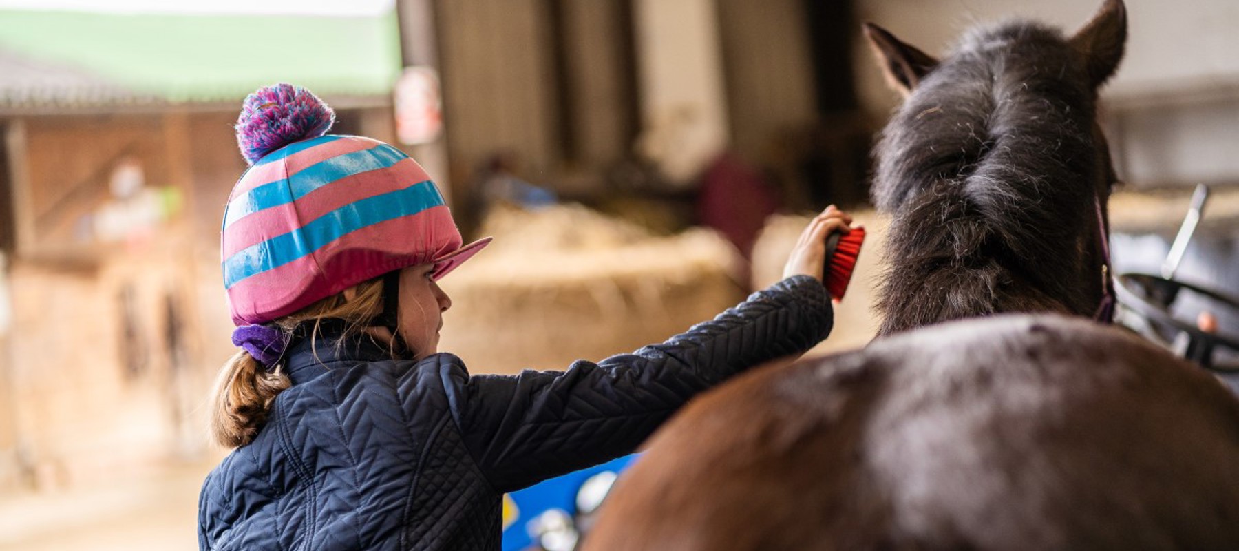 girl grooming horse