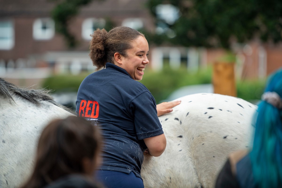 Equine Jobs Find An Equestrian Job The British Horse Society