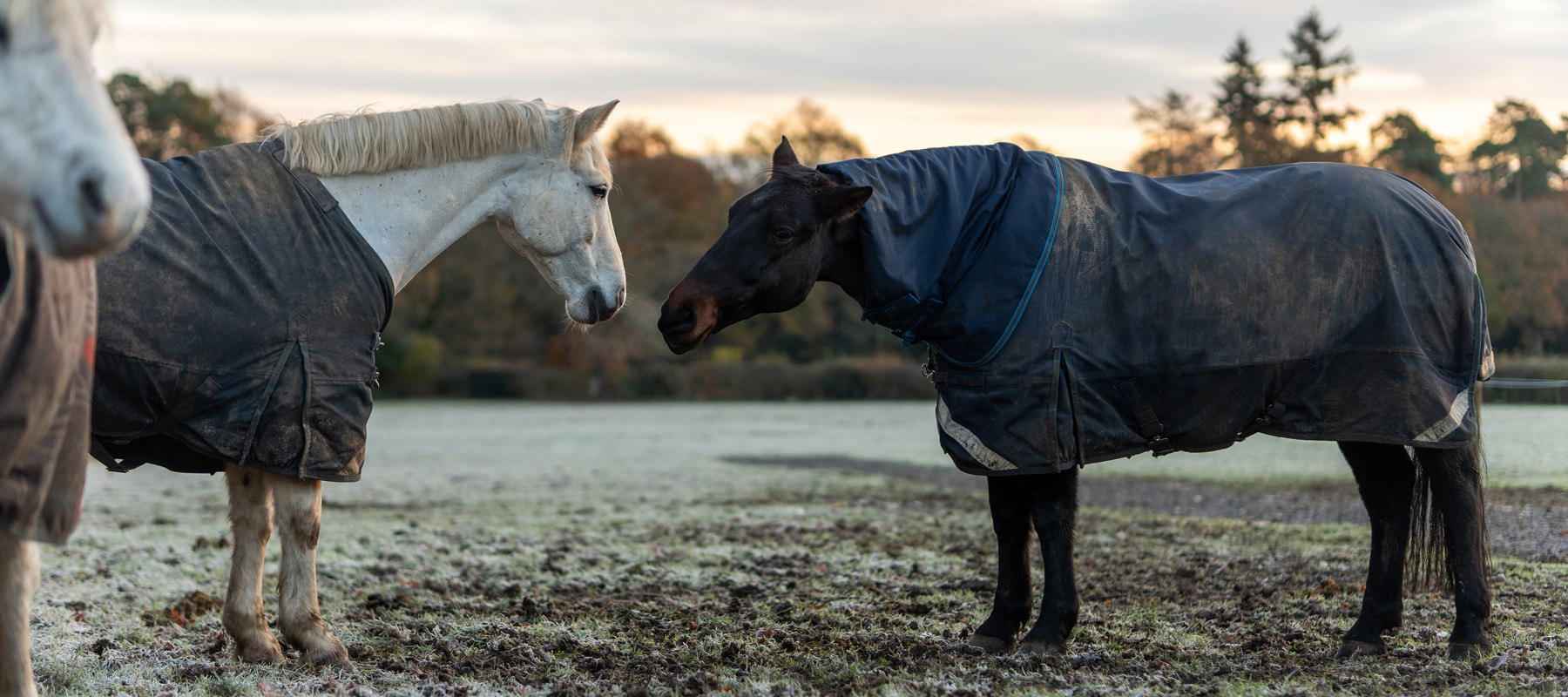 BHS Wellington Photos 144