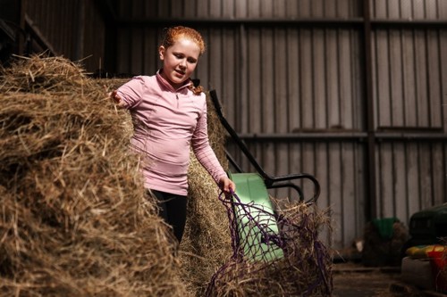 Girl filling haynet in a barn
