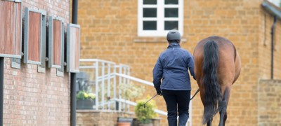 Leading A Horse