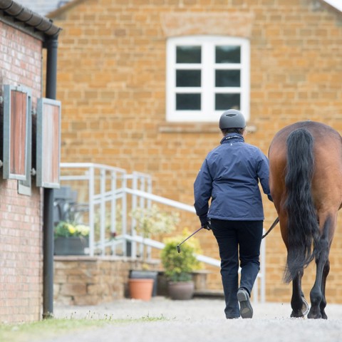 Leading A Horse