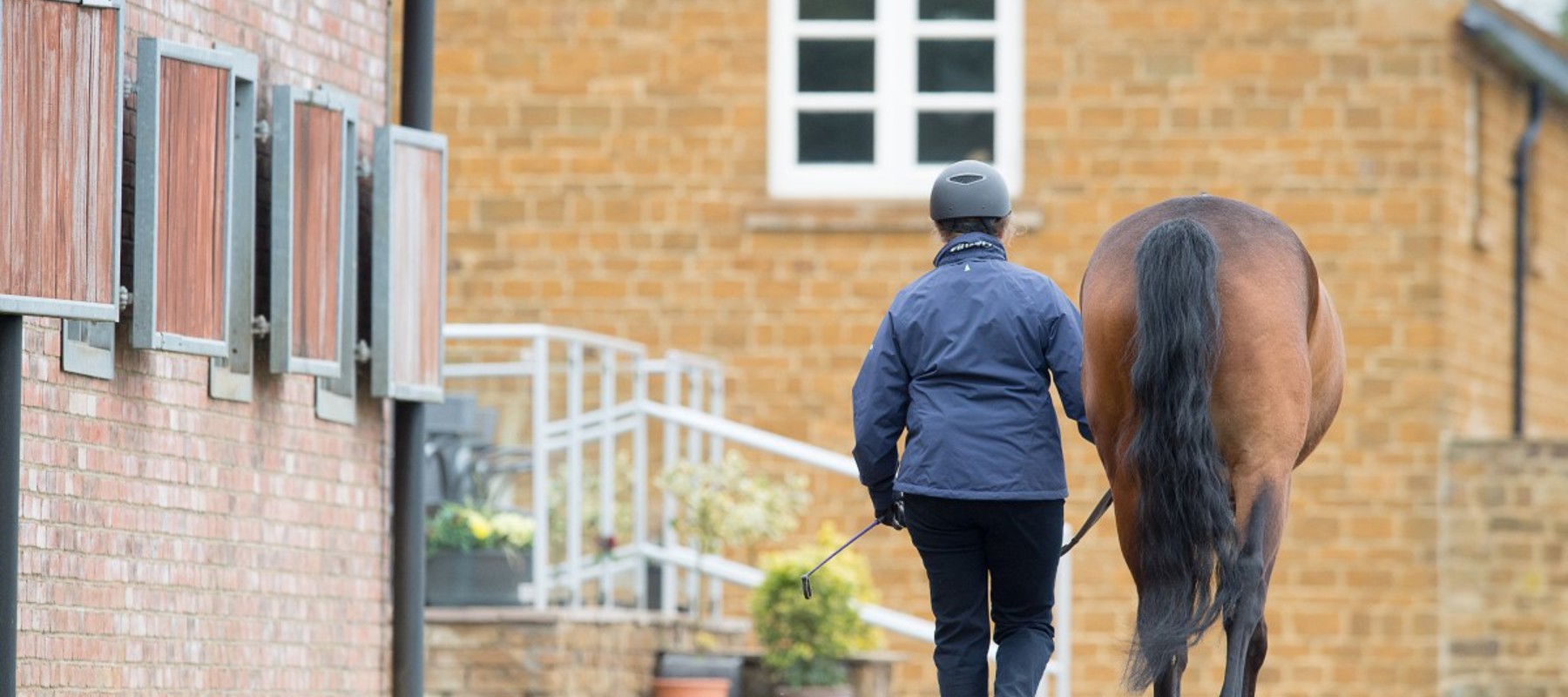 Leading A Horse