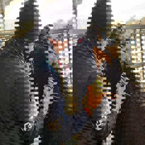 41Aa1594 D20b 4F01 8915 Babbf4719dfc