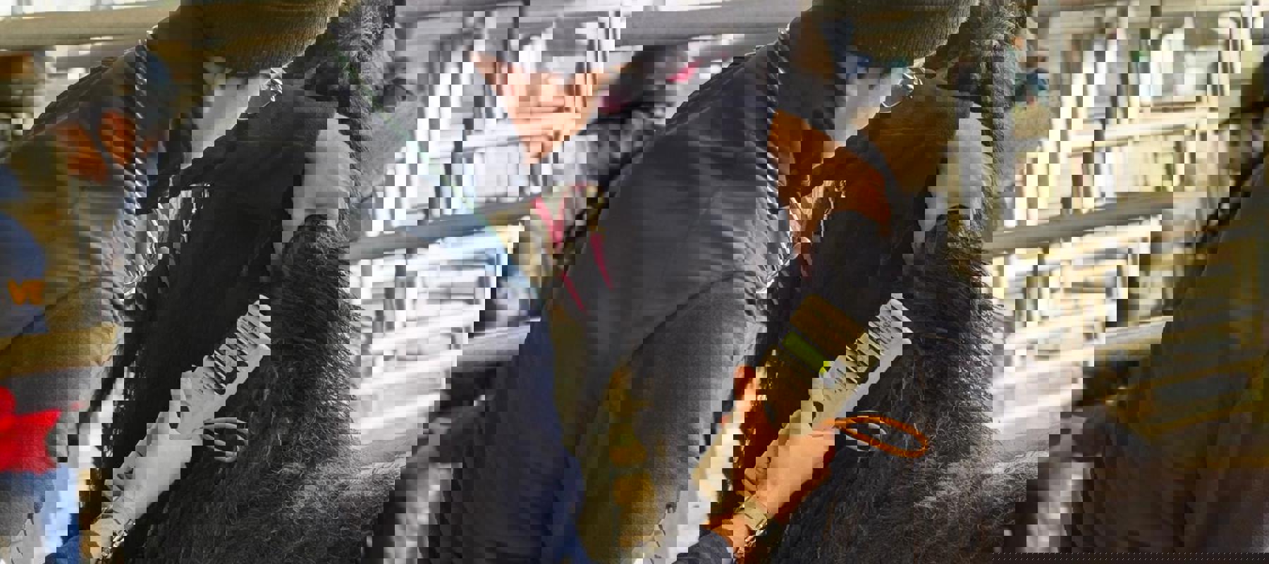 41Aa1594 D20b 4F01 8915 Babbf4719dfc