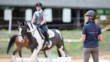 Coach In Complete Horsemanship Stage 3