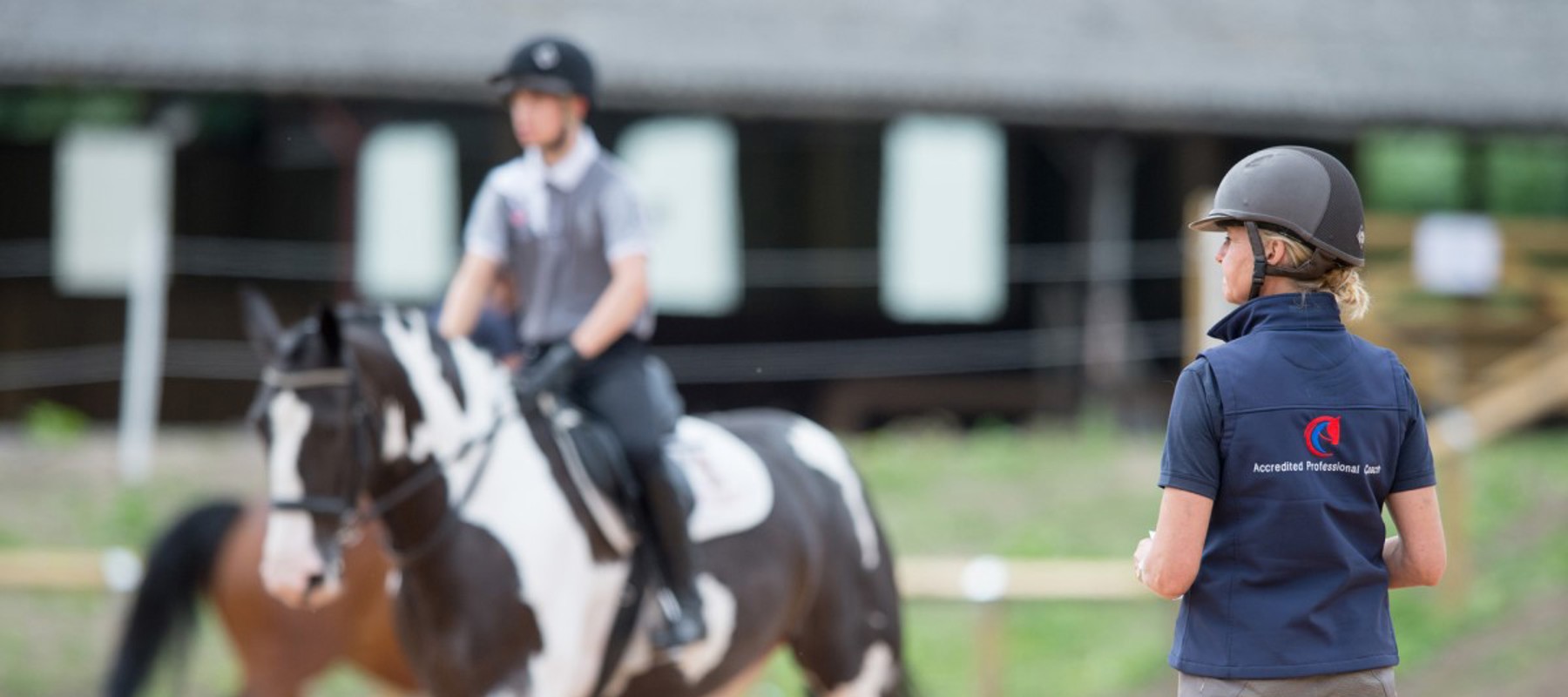 Coach in complete horsemanship with a horse and rider on the background