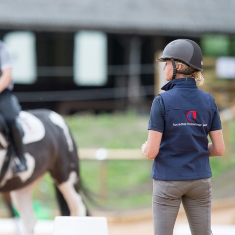 Coach in complete horsemanship with a horse and rider on the background