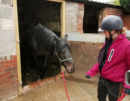 Second Chance rehoming horses project | The British Horse Society
