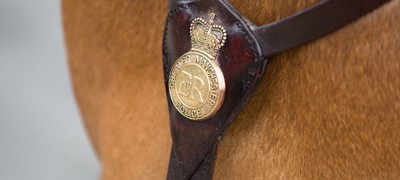 Mounted Services