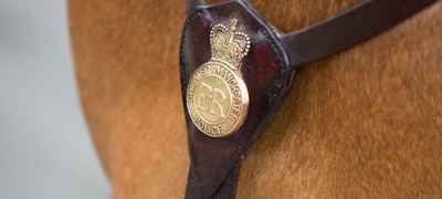mounted services greater Manchester police