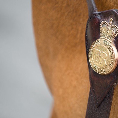 mounted services greater Manchester police
