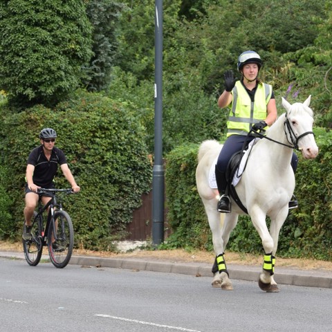 Say Hi Cyclist And Horse