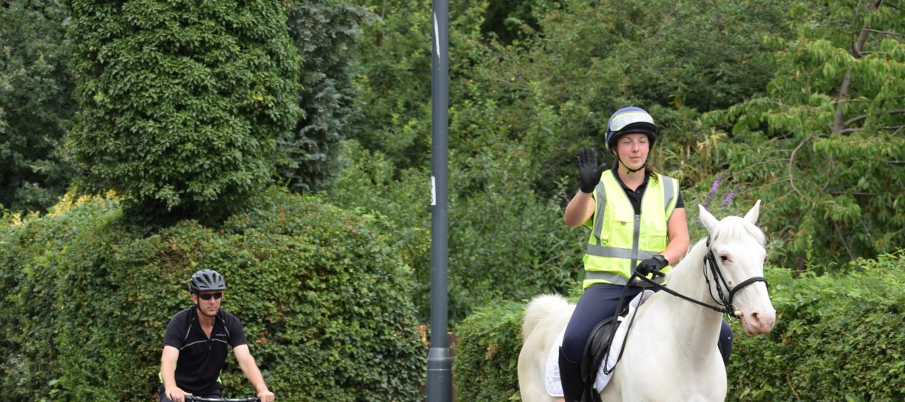 Say Hi Cyclist And Horse
