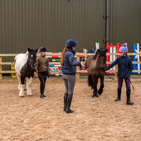 children with ponies 