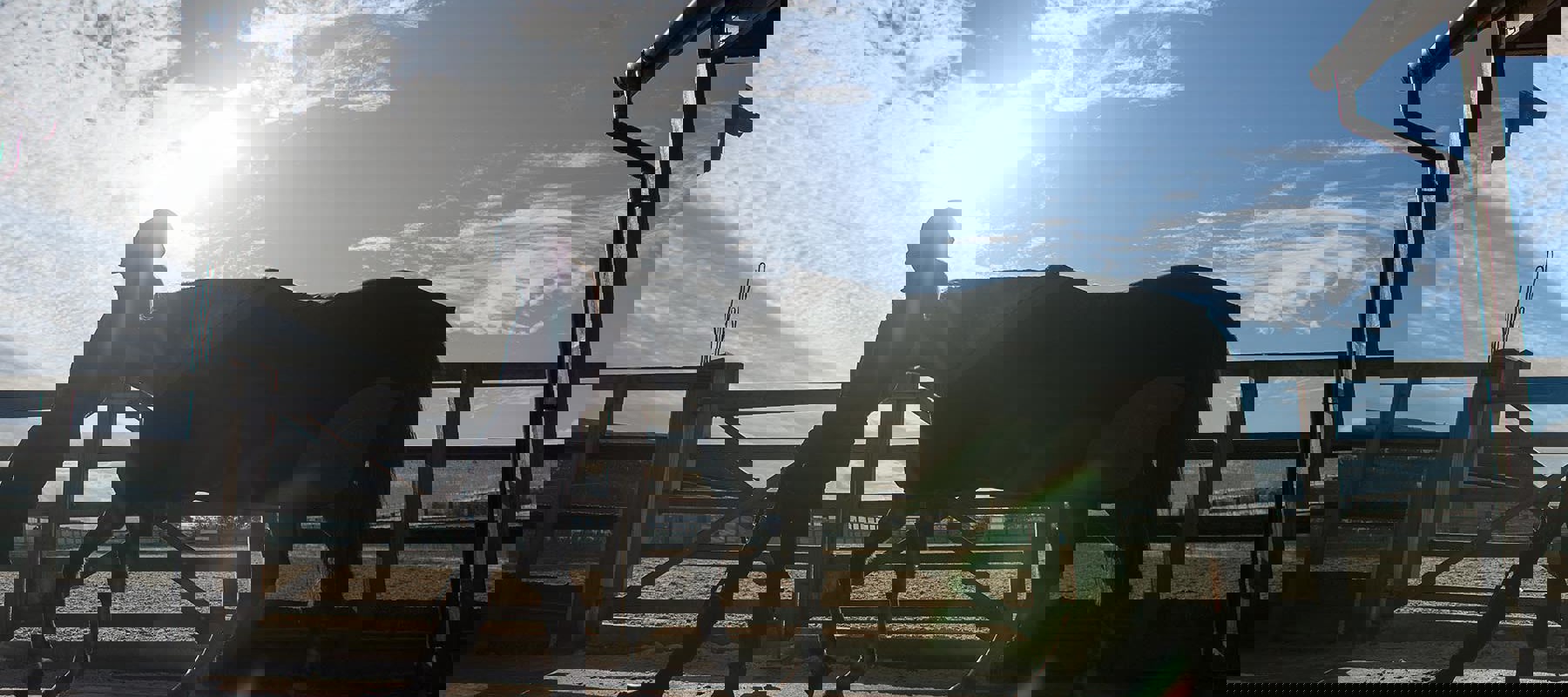 Horse Held Calmly BHS STOCK NOV2016 7753