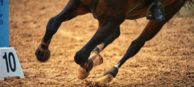 Showjumping Hooves Free Image