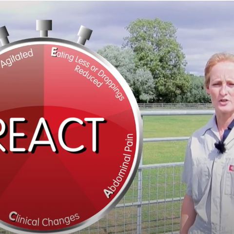 How To Spot The Early Signs Of Colic Video