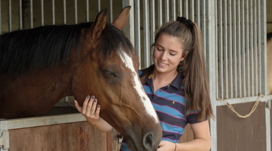 woman caring for the horse