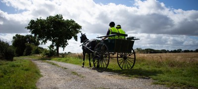 carriage BHS hi vis