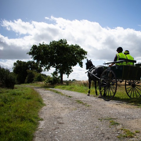 carriage BHS hi vis