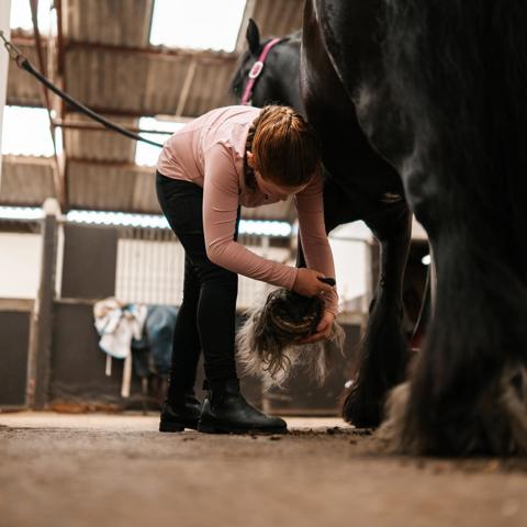 BHS Swallowfield Girl Picking Feet