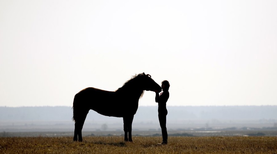 Horse And Rider In Countryside Shutterstock 11585581